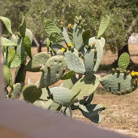 Villa Sestaluna - Trulli Con Piscina Privata Ostuni