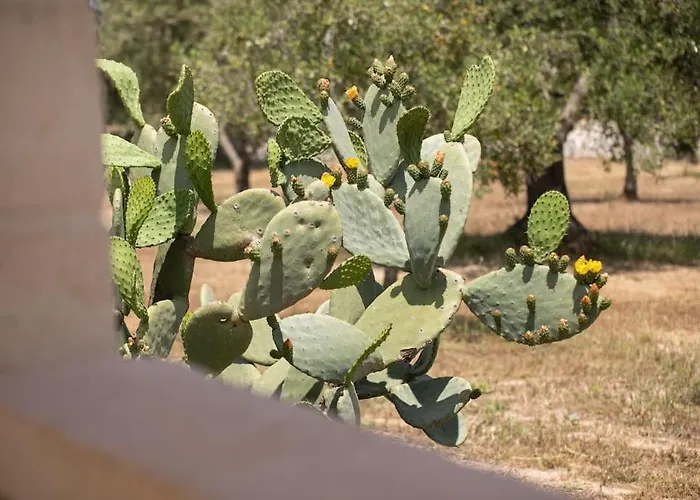 Villa Sestaluna - Trulli Con Piscina Privata Ostuni